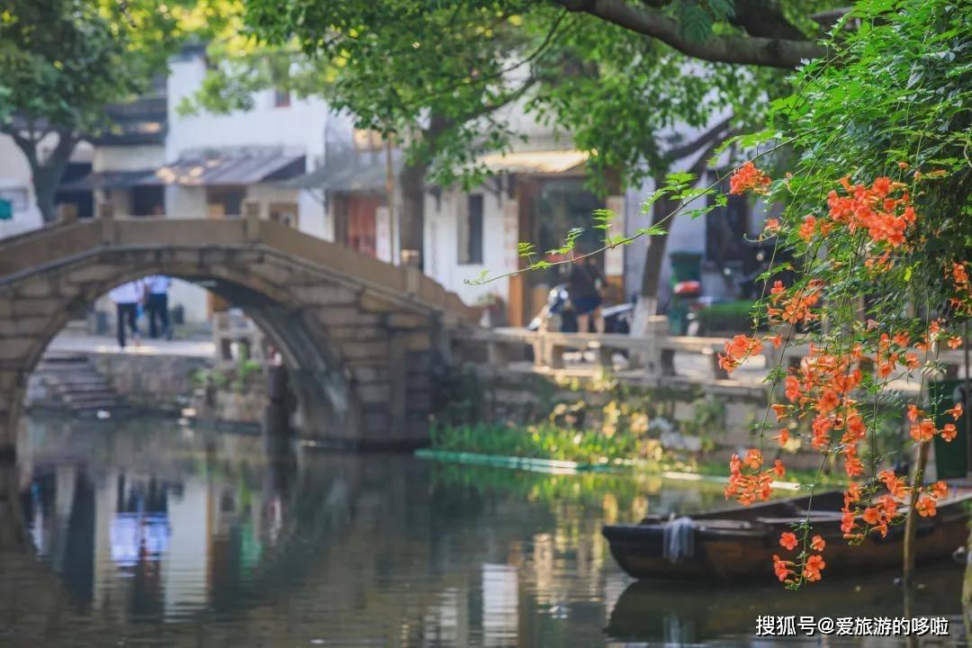 拯救老科学家